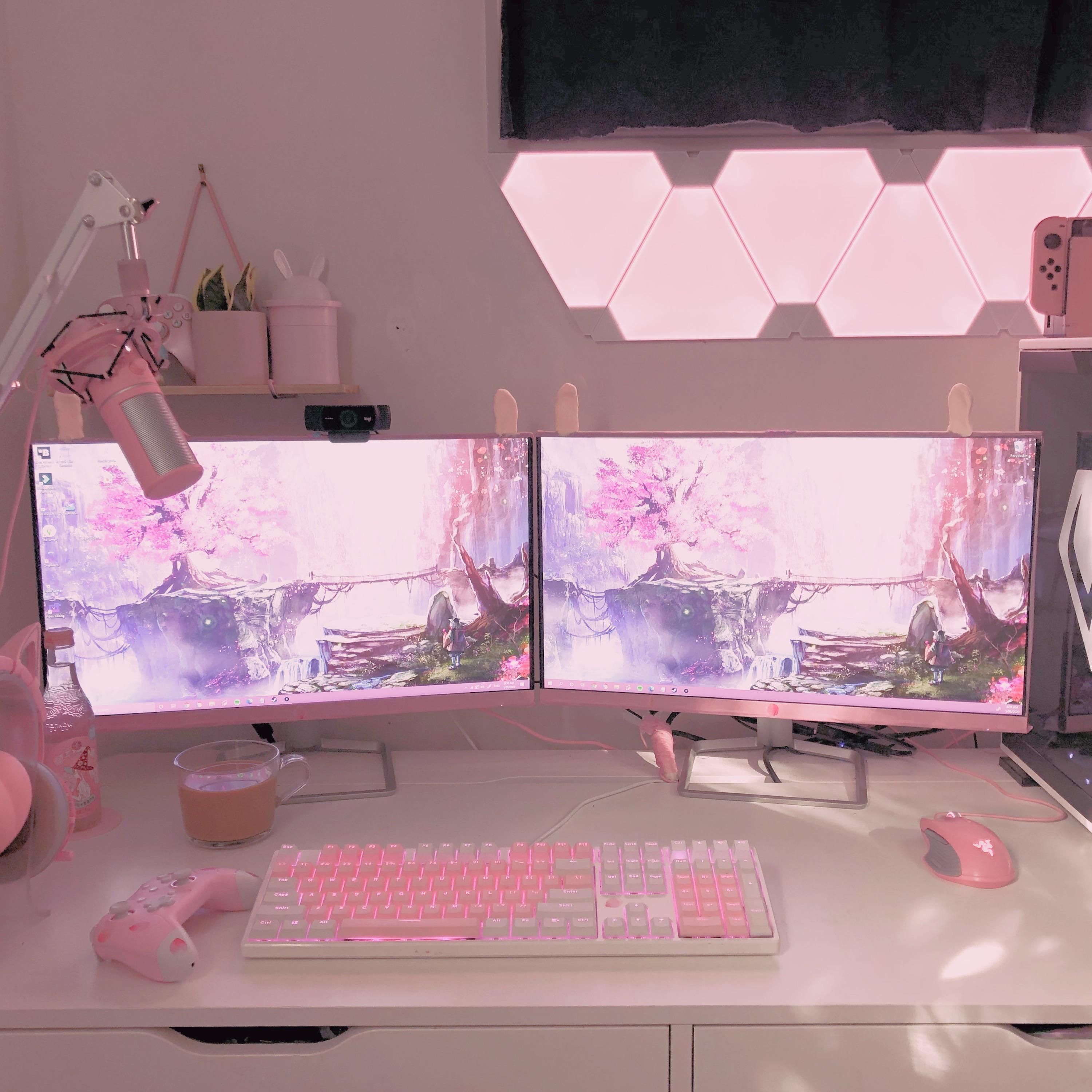 Featured image of post Aesthetic Gaming Setup Pink