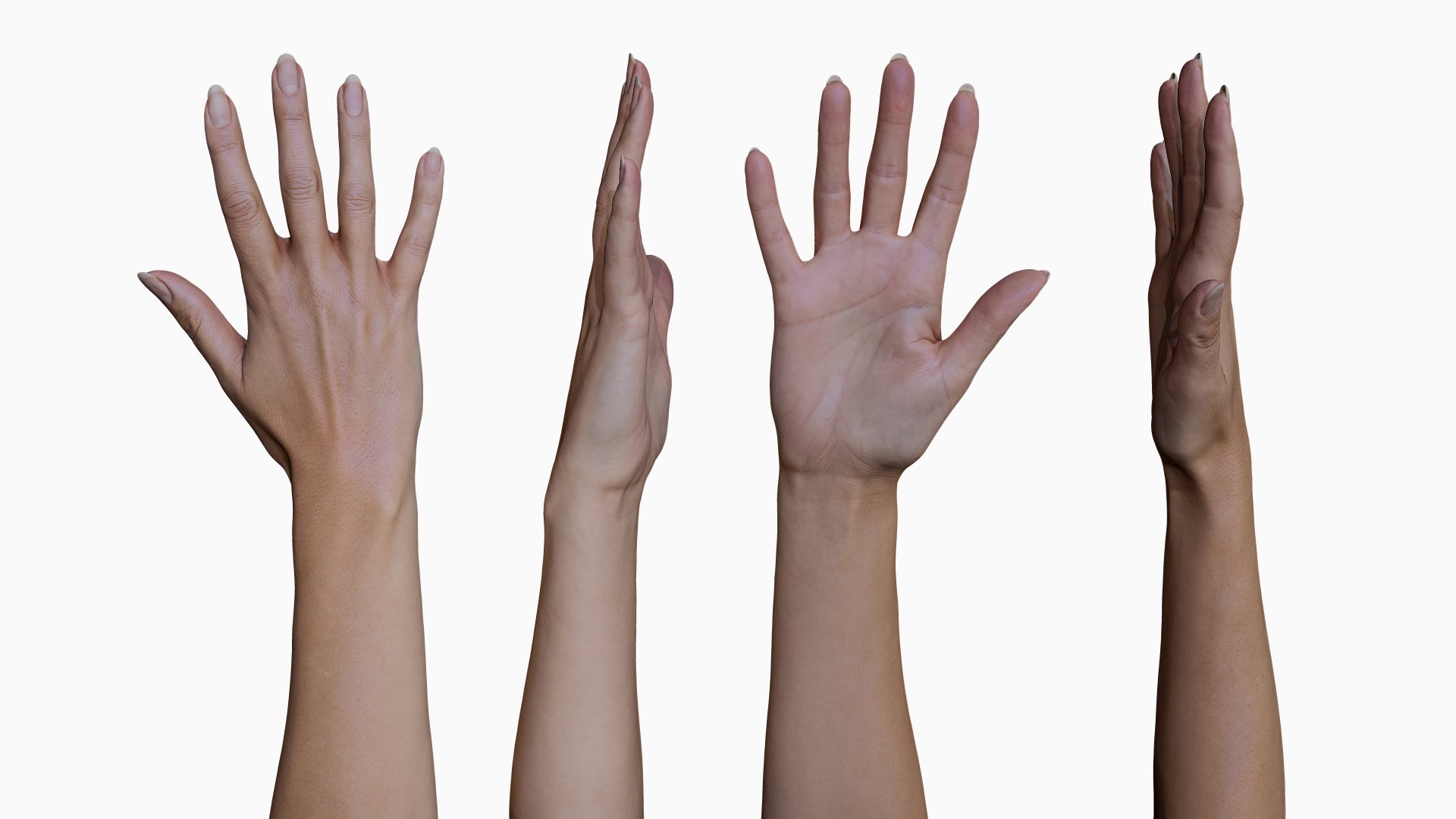 Featured image of post Female Hand Reference For 3D Modeling