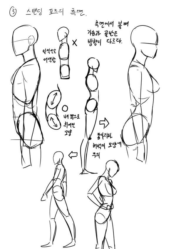 Featured image of post Male Side Profile Drawing Reference