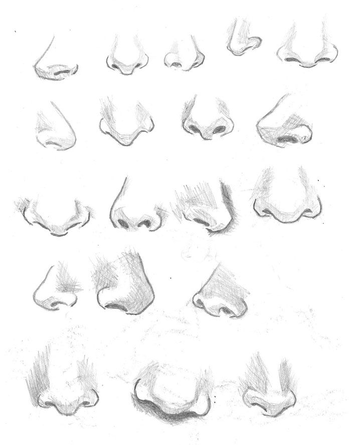 Featured image of post Nose Drawing Reference Female