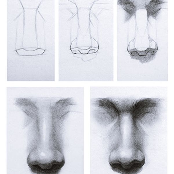 Featured image of post Nose Drawing Reference Realistic