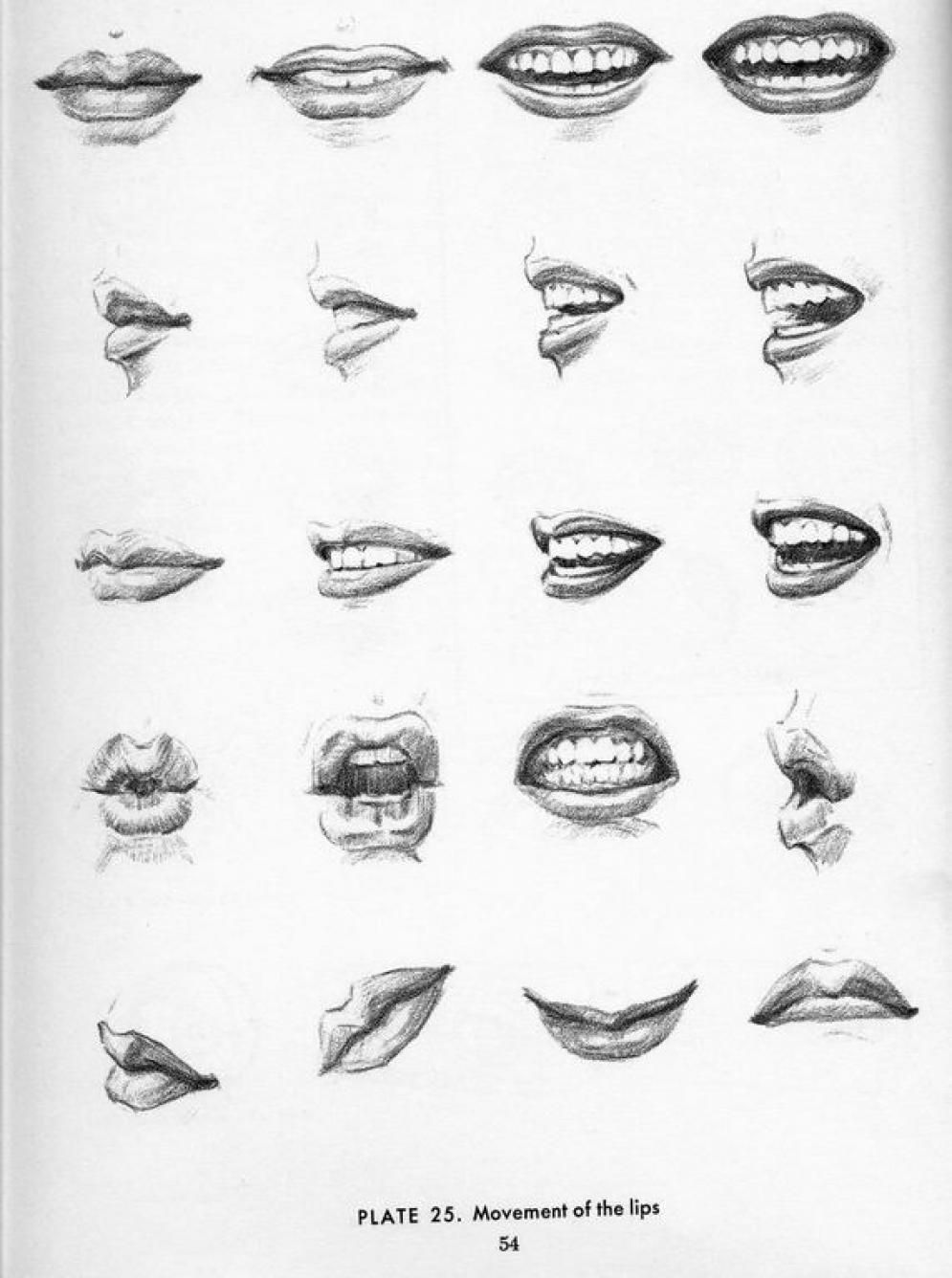 Featured image of post Realistic Lip Drawing Reference